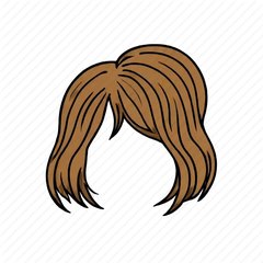 hair 插图