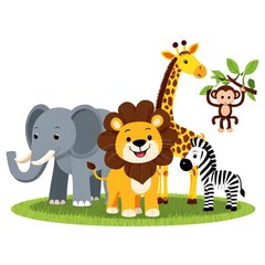 animal 插图
