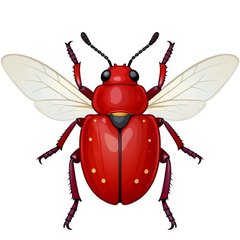 bug 插图