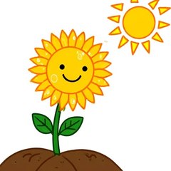 plant 插图